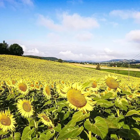 Beautiful With Private Pool Tournon-dʼAgenais